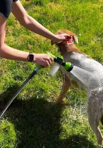 Progetto senza titolo (5)