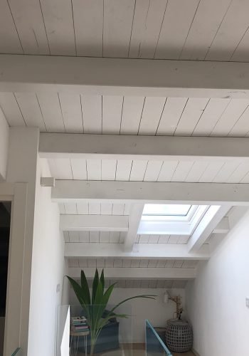 recensione 3 total painter.jpg